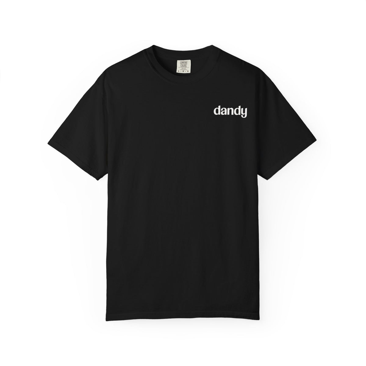 Project Vision - Dandy & NADG Dental Graphic T-Shirt